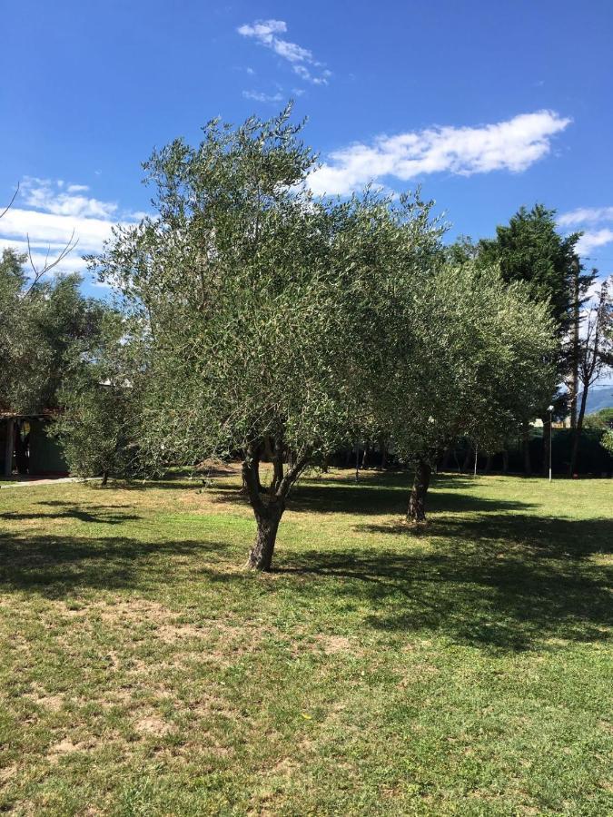 Fragolina Per Due Vila Lucca Exterior foto